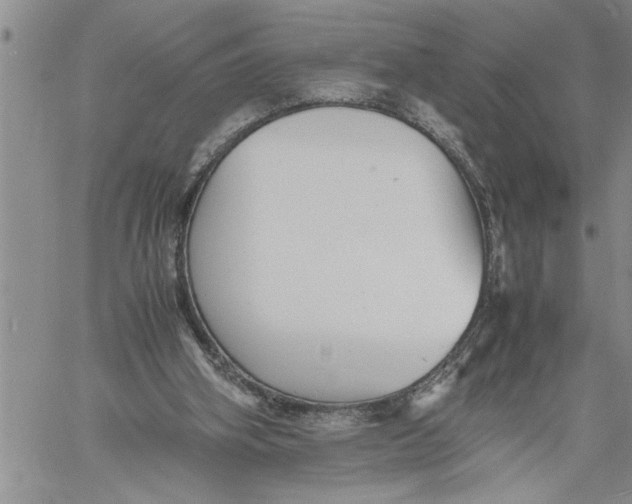 X0000060550106200511241235