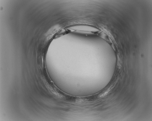 X0000060550109200511241235