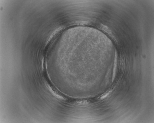 X0000060550110200511241235