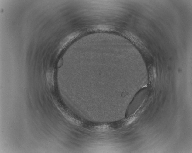 X0000060550112200511241235