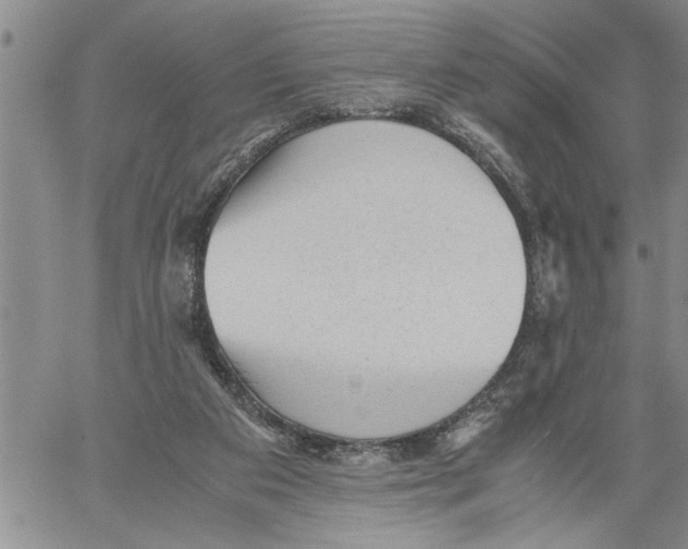 X0000060550113200511241235