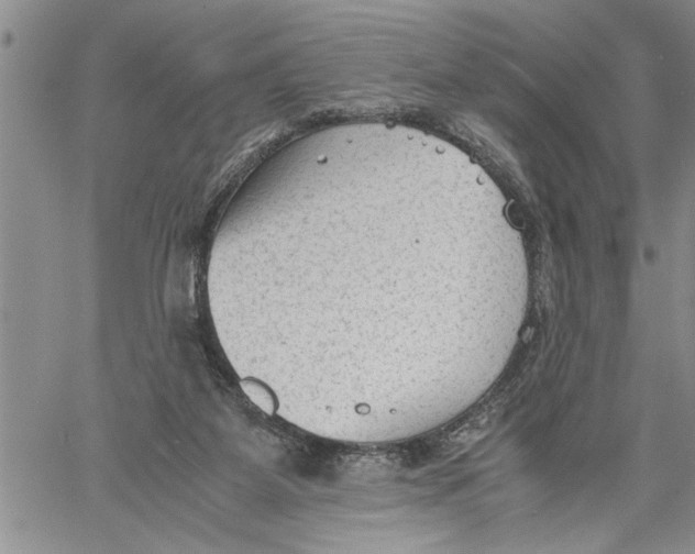 X0000060550115200511241235