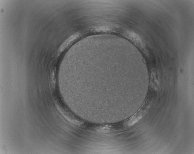 X0000060550116200511241235