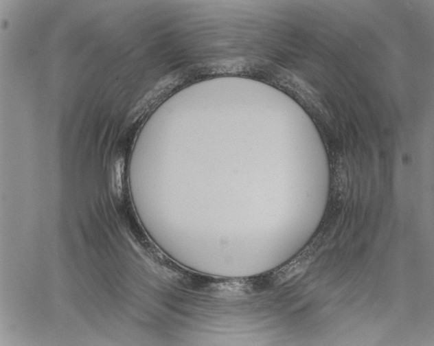 X0000060550118200511241235