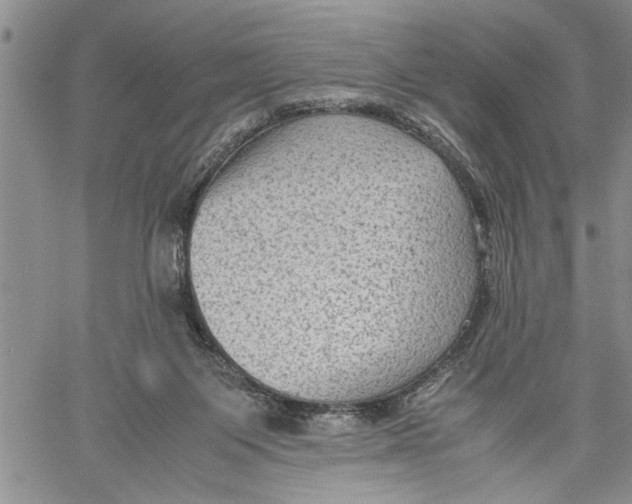 X0000060550119200511241235