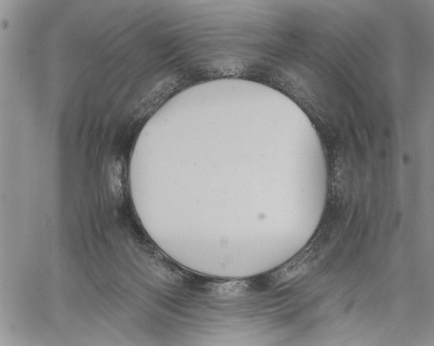 X0000060550122200511241235