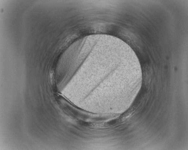 X0000060550123200511241235