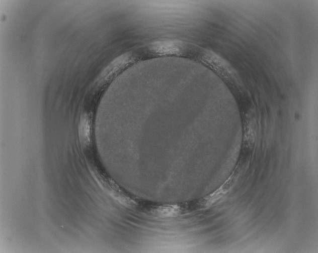 X0000060550124200511241235