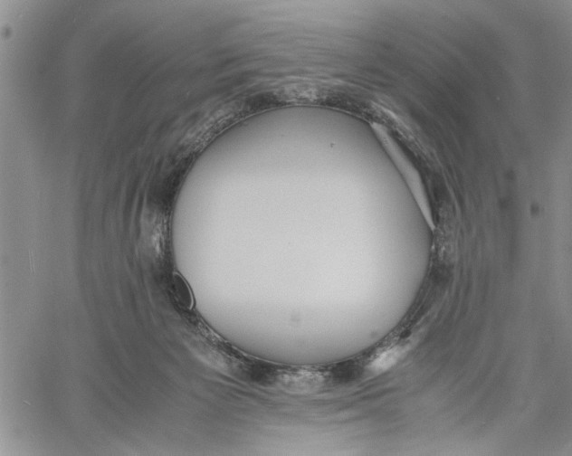 X0000060550125200511241235