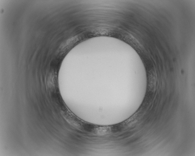 X0000060550126200511241235