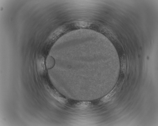 X0000060550128200511241235