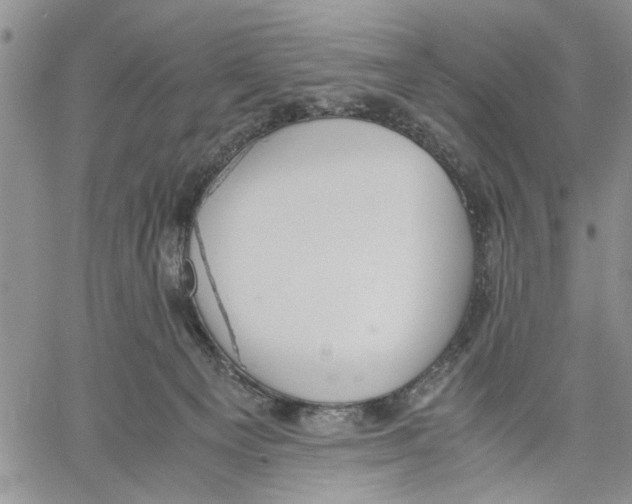 X0000060550129200511241235