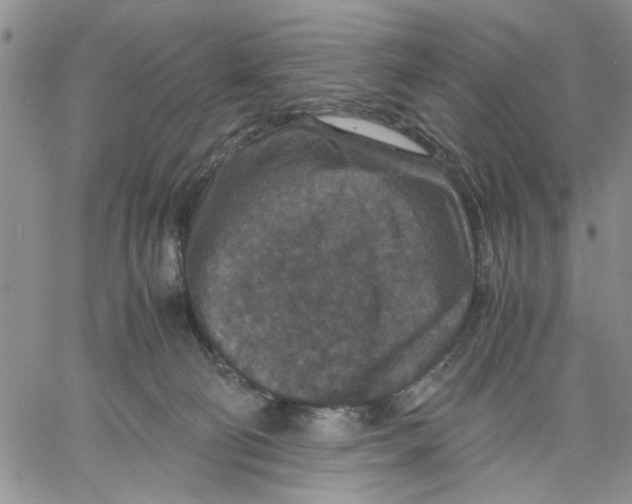 X0000060550130200511241235