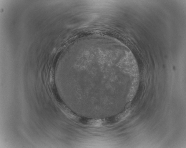 X0000060550131200511241235