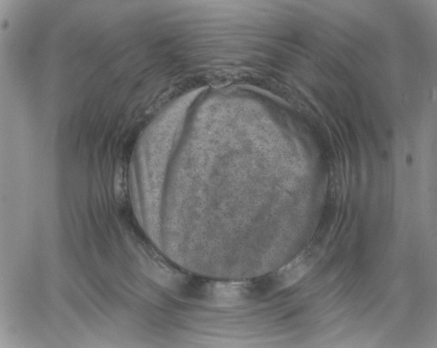 X0000060550134200511241235