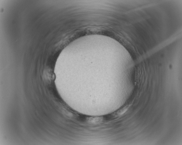 X0000060550135200511241235