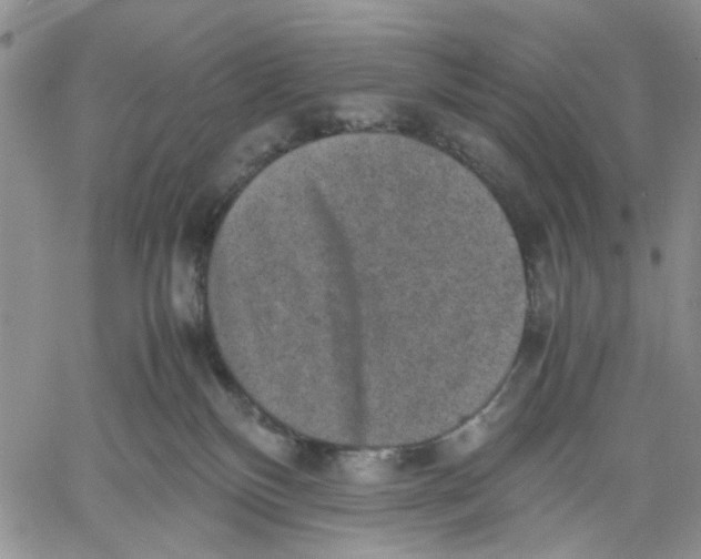 X0000060550136200511241235