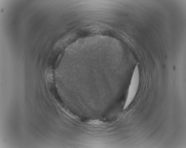 X0000060550137200511241235