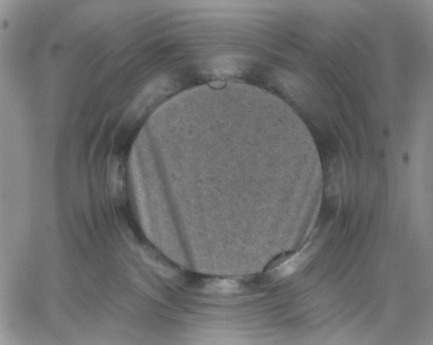 X0000060550140200511241235