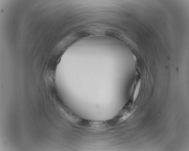 X0000060550141200511241235