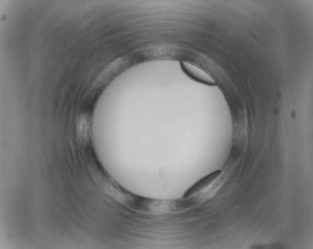 X0000060550142200511241235