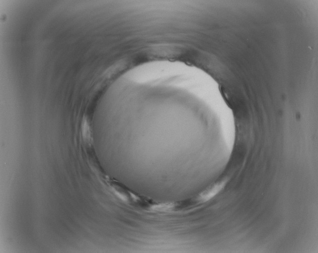 X0000060550143200511241235