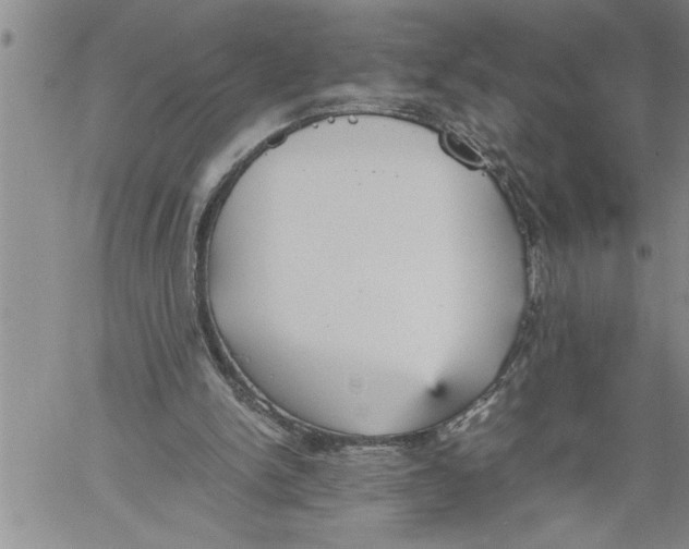 X0000060550150200511241234