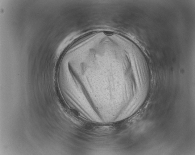 X0000060550151200511241234