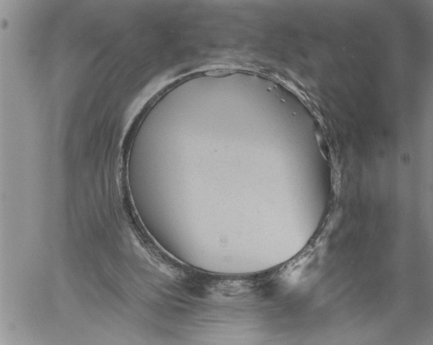 X0000060550152200511241234