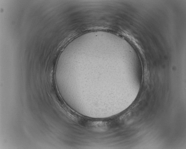 X0000060550153200511241234