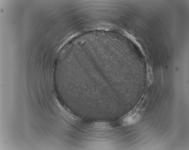 X0000060550154200511241234