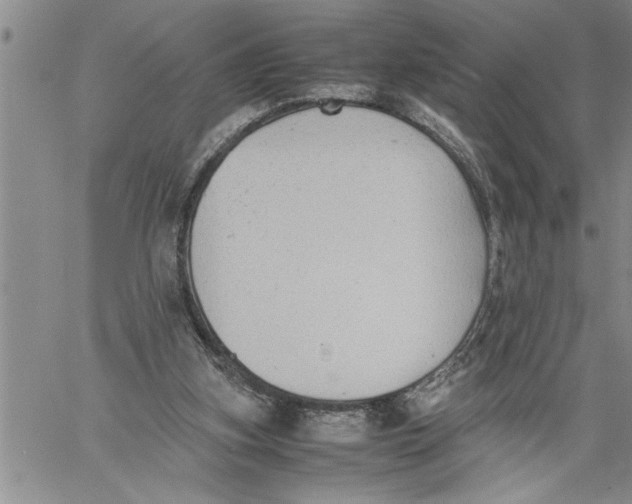 X0000060550155200511241234