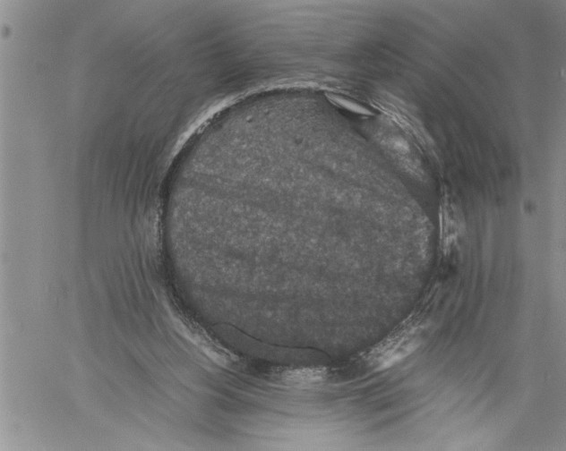 X0000060550156200511241234