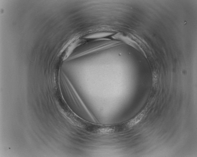 X0000060550158200511241234