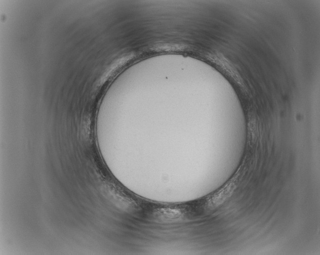 X0000060550159200511241234