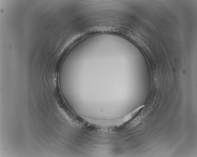 X0000060550160200511241234