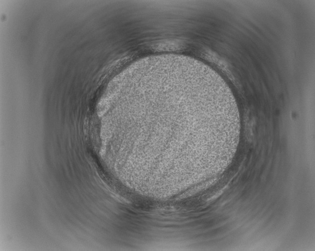 X0000060550161200511241234