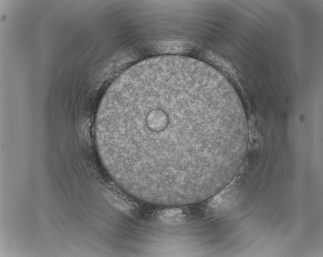 X0000060550162200511241234