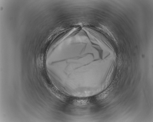 X0000060550163200511241234