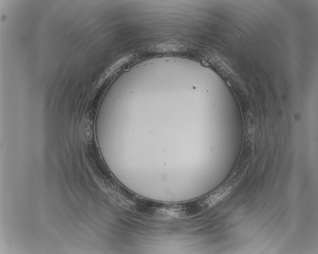 X0000060550164200511241234