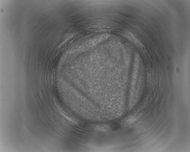 X0000060550165200511241234