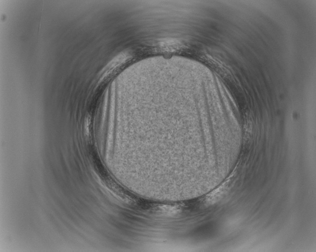 X0000060550166200511241234