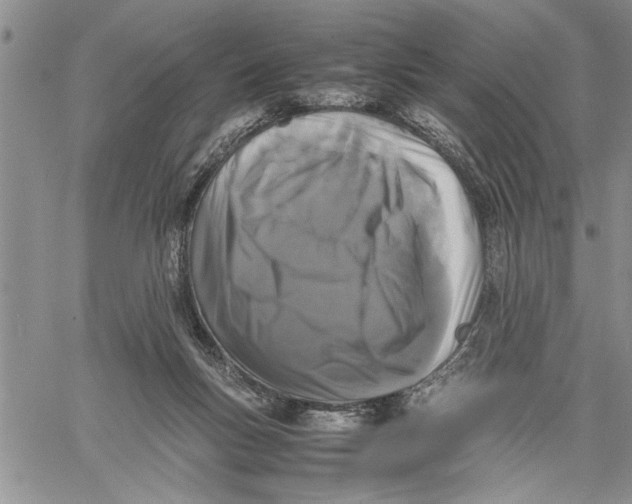 X0000060550167200511241234