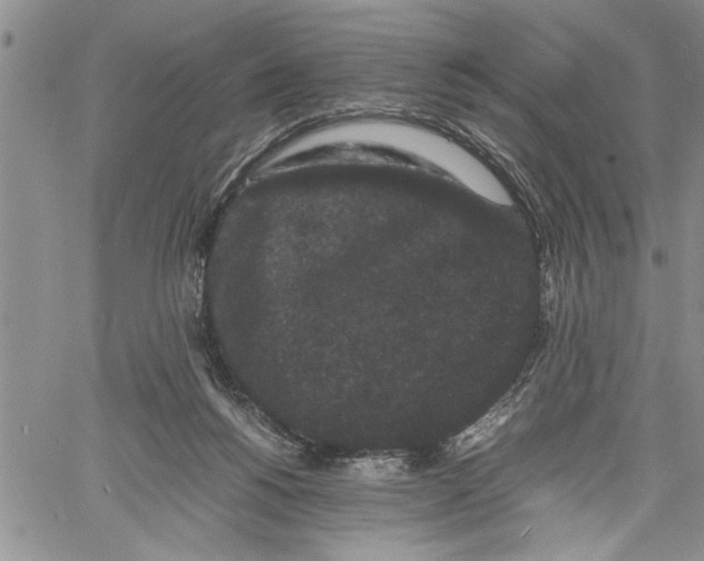 X0000060550168200511241234