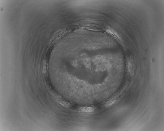 X0000060550169200511241234