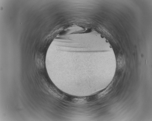 X0000060550170200511241234