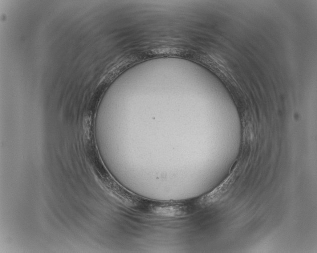 X0000060550171200511241234