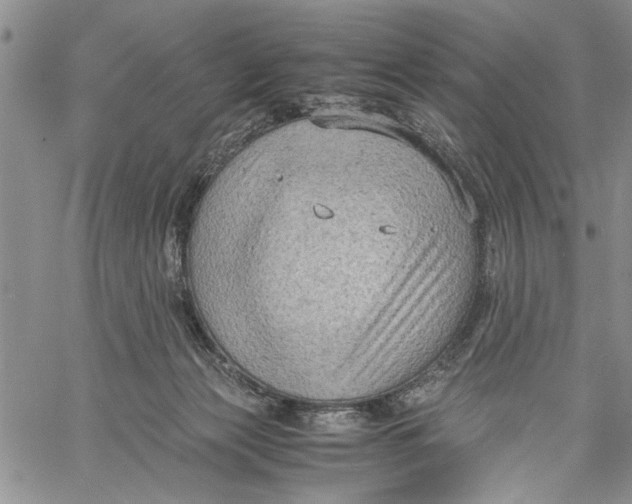 X0000060550173200511241234