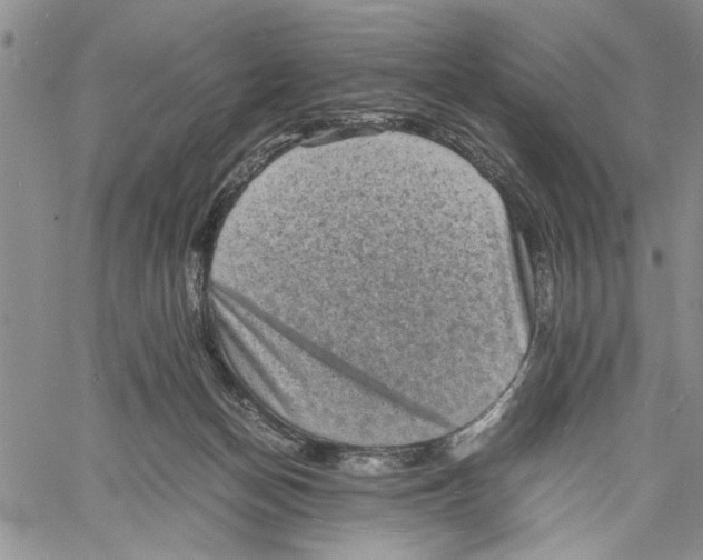 X0000060550174200511241234