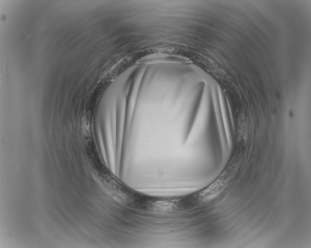 X0000060550176200511241234